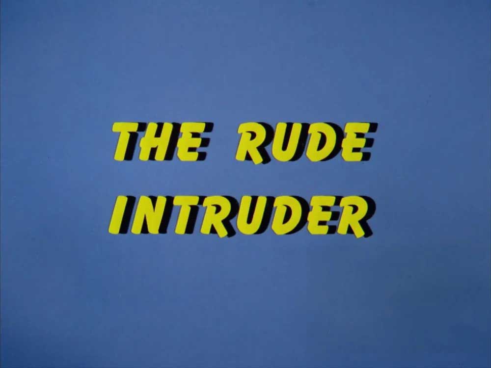 Chilly Willy - The Rude Intruder